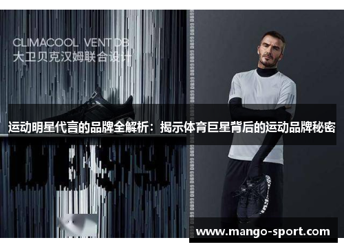 运动明星代言的品牌全解析：揭示体育巨星背后的运动品牌秘密