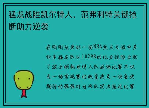 猛龙战胜凯尔特人，范弗利特关键抢断助力逆袭